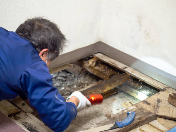 Crawl Space Mold Removal in Middletown, VA