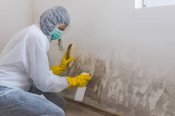 Best Emergency Mold Removal  in Middletown, VA