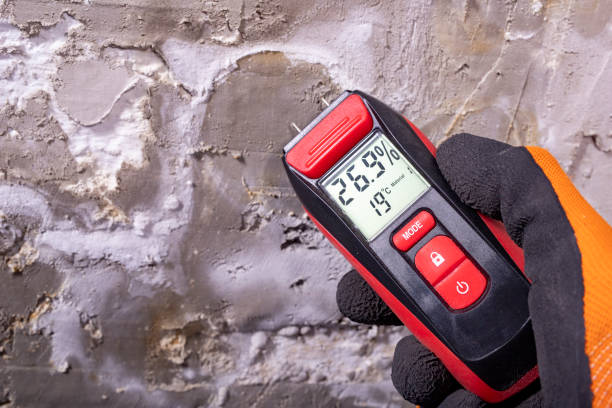 Best Crawl Space Mold Removal  in Middletown, VA