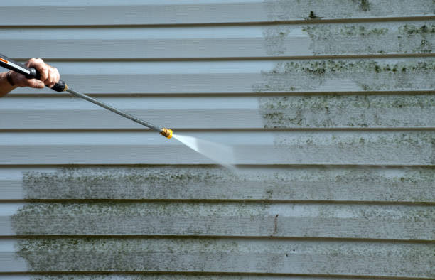 Best Toxic Mold Removal  in Middletown, VA