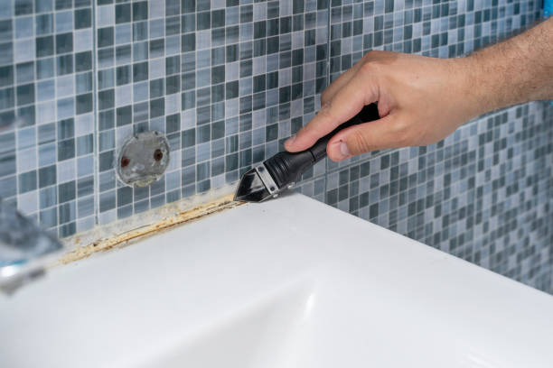 Mold Removal and Inspection in Middletown, VA