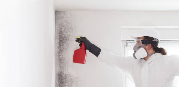 Best Mold Remediation Services  in Middletown, VA