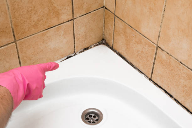 Best Mold Testing  in Middletown, VA